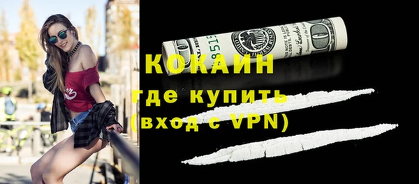 прущие грибы Верхний Тагил