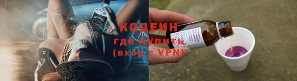 прущие грибы Верхний Тагил
