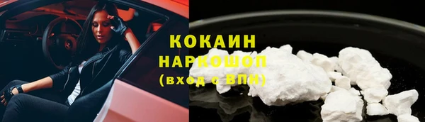 прущие грибы Верхний Тагил