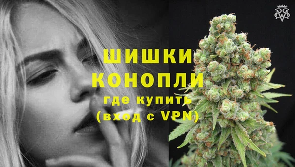 прущие грибы Верхний Тагил
