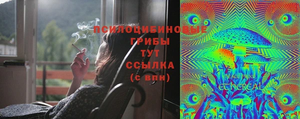 прущие грибы Верхний Тагил