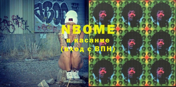 прущие грибы Верхний Тагил