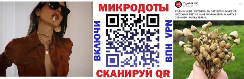 Галлюциногенные грибы Magic Shrooms  Купить закладки  Чернушка 